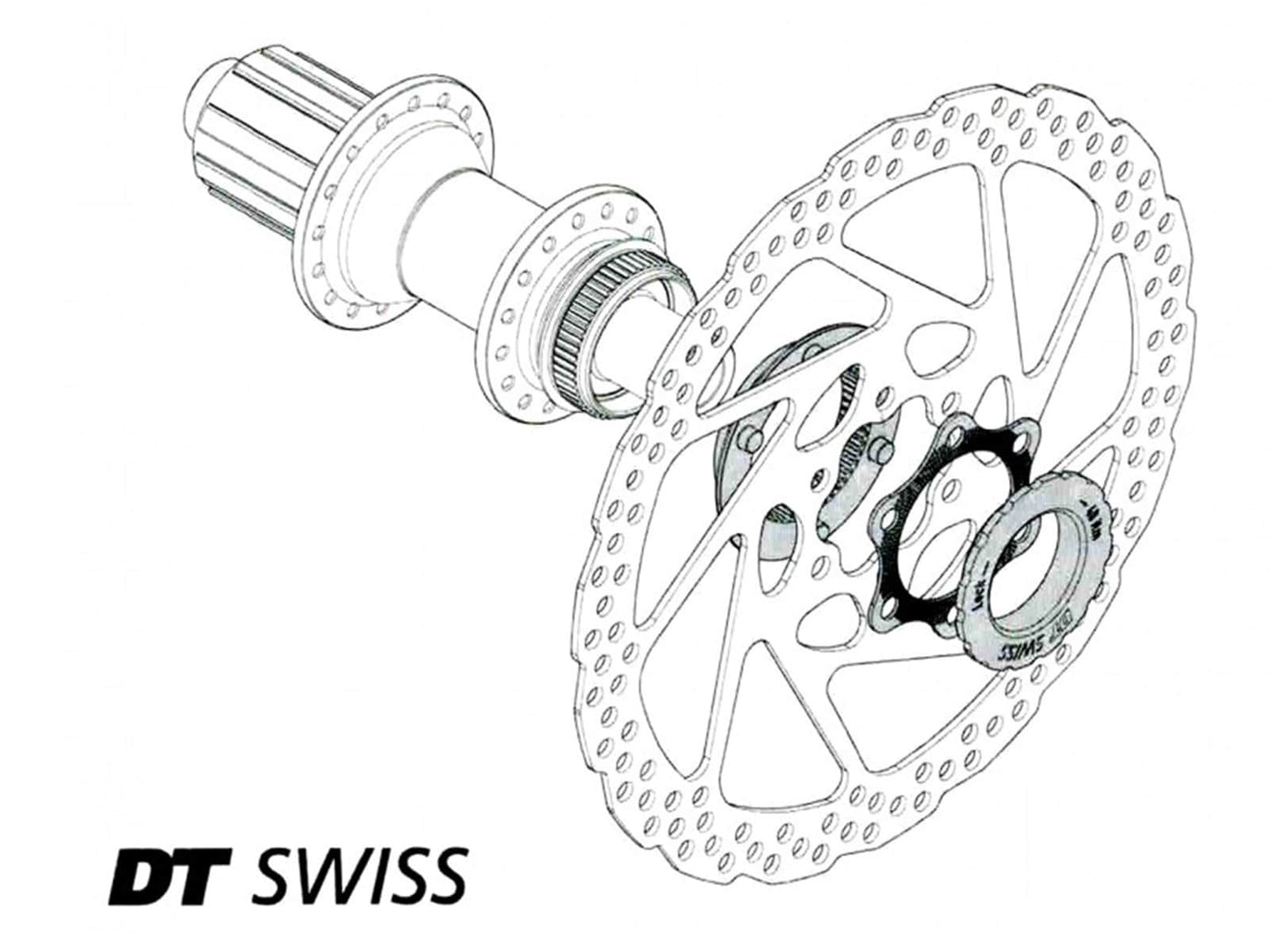 Adaptador DT SWISS disco 6 tornillos a Center Lock